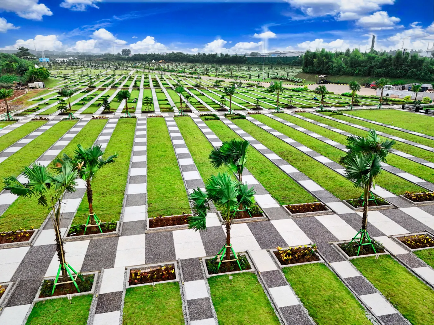 Deretan makam dengan pohon palem di sepanjang walkway
